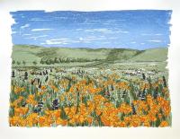 Cover image for Poppies in the Hills out West, 2025