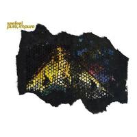 Cover image for Pure, impure